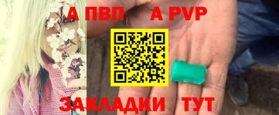 дмт Кингисепп
