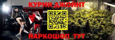 дмт Кингисепп