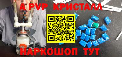 дмт Кингисепп