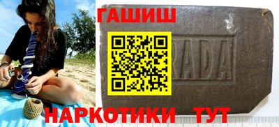 дмт Кингисепп