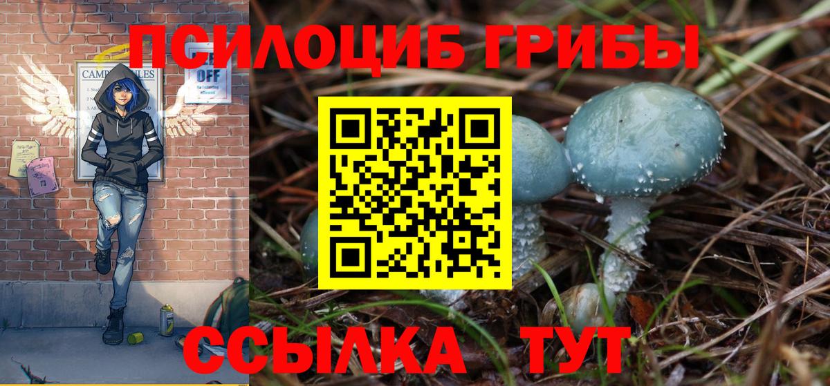 Арзамас  Псилоцибиновые грибы мицелий  Вход с VPN 